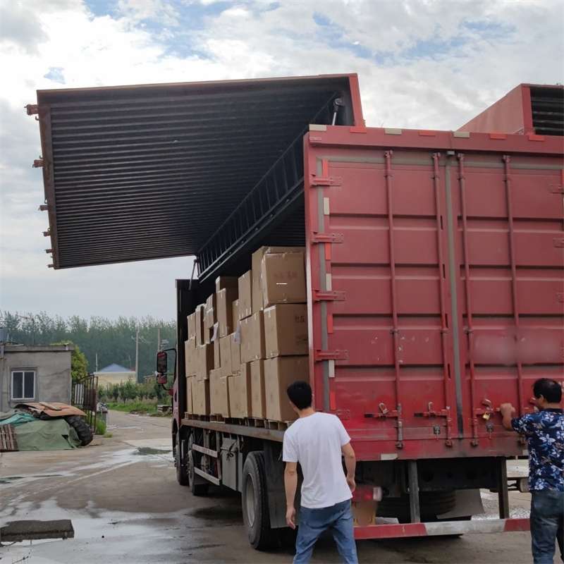 平罗县扎囊县：物流专线的高效货运之旅